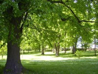 /album/fotogalerie-zamek-bystre-u-policky/park4-jpg/