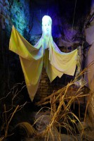 /album/fotogalerie-muzeum-strasidel-pelhrimov-galerie-m-dum-purkrabsky/duch-jpg/