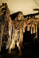 /album/fotogalerie-muzeum-strasidel-pelhrimov-galerie-m-dum-purkrabsky/polednice-jpg/