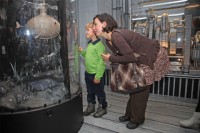 /album/fotogalerie-muzeum-karla-zemana-kouzla-filmoveho-maga/muzeum-karla-zemana-expozice-jpg1/