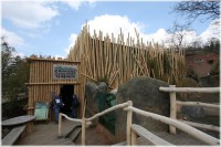 /album/fotogalerie-zoologicka-zahrada-hl-m-prahy/zoo-praha-cambal-pavilon-gavialu-jpg/