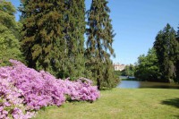 /album/fotogalerie-pruhonicky-zamek-a-park/rododendrony-pruhonice-385-jpg/