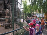/album/fotogalerie-zoo-chleby-zoo-plna-zazitku/a0008-jpg/