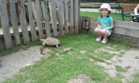 /album/fotogalerie-zoo-chleby-zoo-plna-zazitku/zoo-jpg1/