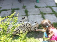 /album/fotogalerie-zoo-chleby-zoo-plna-zazitku/zoo-chleby12-jpg/
