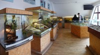 /album/fotogalerie-zoo-ohrada-hluboka-nad-vltavou/zoo-ohrada-teraria-01-jpg1/