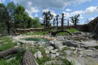 /album/fotogalerie-zoo-ohrada-hluboka-nad-vltavou/zoo-ohrada-hluboka-nad-vltavou-4-jpg/