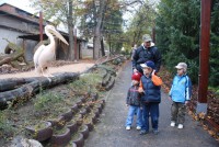 /album/fotogalerie-zoo-dvur-kralove-nad-labem/a002-pruchozi-voliera-pelikanu-jpg/