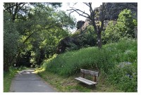 /album/fotogalerie-prirodni-park-divoka-sarka/divoka-sarka6-jpg/