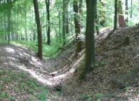 /album/fotogalerie-cinibulkova-stezka-a-lakave-skalni-labyrinty/a930-svedsky-val-jpg1/