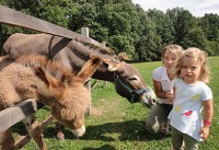 /album/fotogalerie-farma-blanik-zabavni-park-pro-deti/farma-park4-jpg/