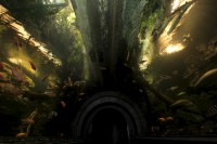 /album/fotogalerie-obri-akvarium-v-hradci-kralove-nejvetsi-sladkovodni-akvarium-v-cr/podvodni-tunel-obriho-akvaria-1152-jpg1/