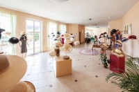 /album/fotogalerie-muzeum-motokol-a-galerie-klobouku-nove-hrady/galerie-klobouku-v-oranzerii2-jpg1/