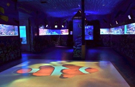 zoo-morsky-svet-nejvetsi-morske-akvarium-v-cr