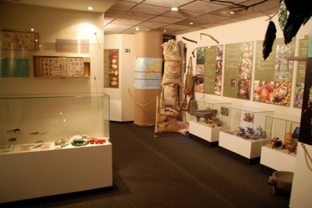 choco-story-muzeum-cokolady