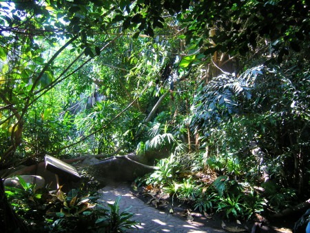 indonesian-jungle3-zoo-prague