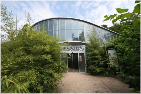 zoo-praha-secuan-pavilon-ptaku