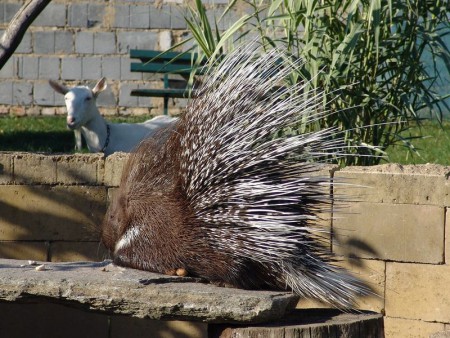 zoo-chleby-zoo-plna-zazitku