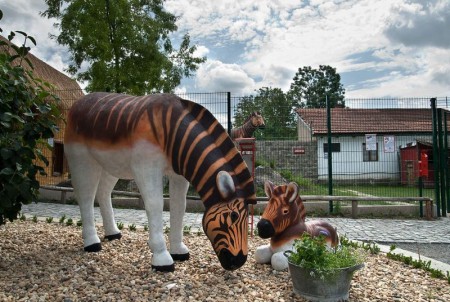 zoo-chleby-zoo-plna-zazitku