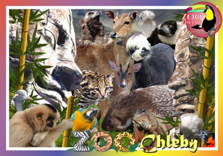 zoo-chleby-zoo-plna-zazitku