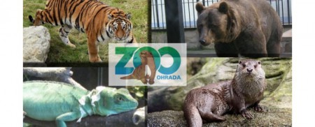 zoo-ohrada-hluboka-nad-vltavou - mapa ZOO