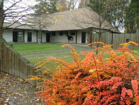 zoo-dvur-kralove-nad-labem - pavilon-okapi