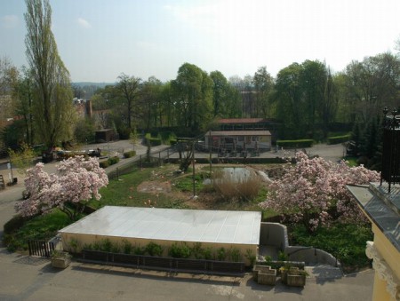 zoo-dvur-kralove-nad-labem - pavilon-plamenaku
