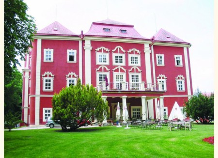 zamek-detenice