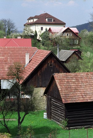 hovezi
