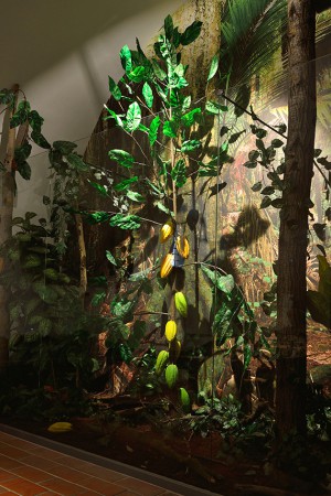 muzeum-cokolady-a-marcipanu-tabor - kakaovnik