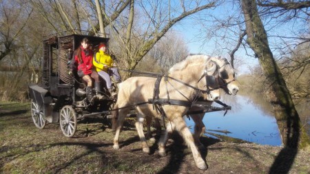zoopark-zelcin