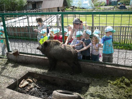 fistron-park-zookoutek-zviratkov